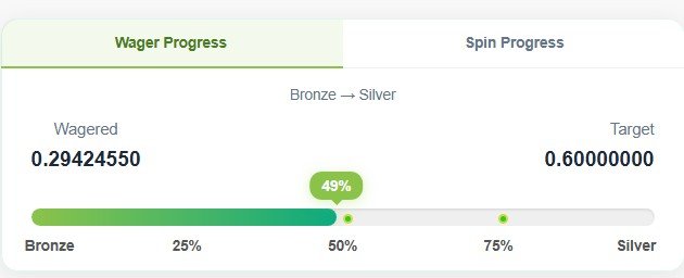 BNB Pick Wager Progress Bar